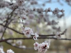 -太阳宫公园