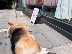 -简象咖啡CAFE ELE JANE(满陇桂雨店)