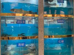 水产区-鱼䲆鱻云南草帽蒸汽石锅鱼(云尚国际店)