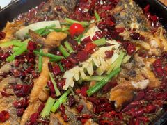 -老板恋上鱼(恒隆广场店)