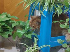 -汉长安城未央宫国家考古遗址公园