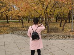 -长春公园(普阳街道)