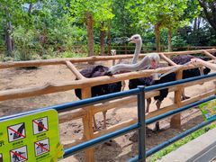 -大连森林动物园