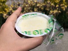 -德禄酸奶(莫家街店)