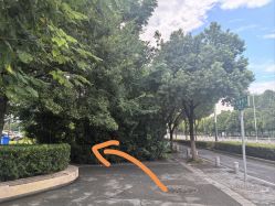 -南京市儿童医院(河西院区)