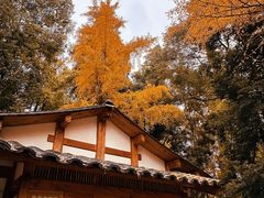 -成都杜甫草堂博物馆