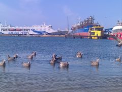 -海驴岛(荣成市)