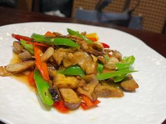 -滇野云南野生菌餐厅(陕西南路店)