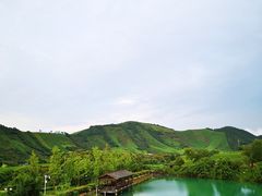 从餐厅窗户望出去-帐篷客·溪龙茶谷度假酒店