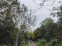 -金海湾滨江公园