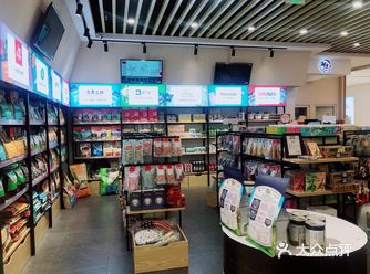 「英国短毛猫」这家店里的金渐层太好看了  活泼好动