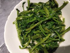 空心菜叶-壹盏灯(惠农店)