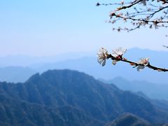 -大岭沟猕猴桃谷风景区