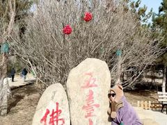-五台山风景名胜区