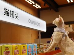 -帕帕拉兹宠物(亚洲旗舰店)