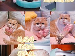 -蓝楹湾度假酒店
