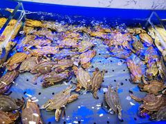 -澜悦港海鲜体验主题餐厅