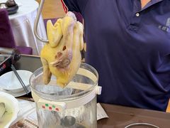 -有腥气私房菜·寻味顺德