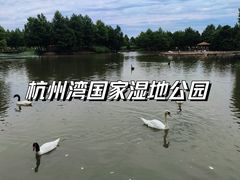 -宁波杭州湾国家湿地公园