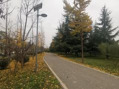 -洨河生态公园