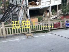 -北川老县城地震遗址