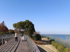 -江滩湿地公园