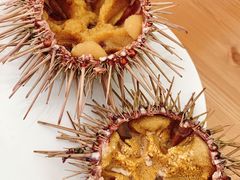 -海胆小馆(东北水饺·春柳店)