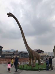 -恐龙探索乐园(磁器口店)