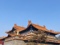 -大召无量寺