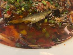 -院8里·少城记忆老川菜(宽窄巷子店)