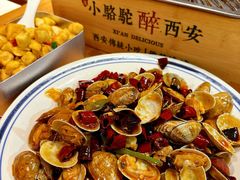 -福苗小骆驼烧烤(莲湖路店)