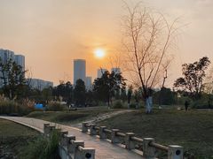-桂溪生态公园