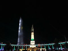 -人民防洪胜利纪念塔