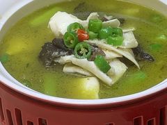 -丁老爷子苏香圆