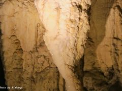 -怀托摩萤火虫洞