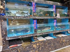 -浔味·山屿湖·正宗全鱼宴老字号