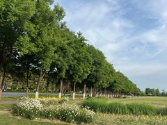 -汉长安城未央宫国家考古遗址公园