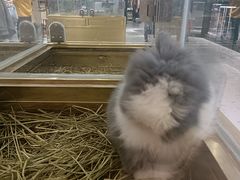 -百联西郊购物中心·停车场