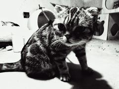 -炼呗运动康复·健身工作室(紫竹桥店)