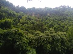 -海窝子古镇