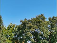 -北京石刻艺术博物馆(五塔寺)