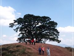 -红土地风景区