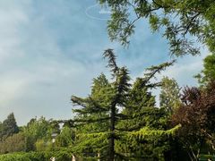 -中华世纪坛-停车场