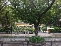 -火车头法国西餐厅