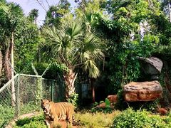 -海南热带野生动植物园