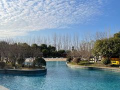 -上海东方佘山翰悦阁酒店·Vie全日制餐厅