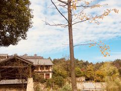 -黄陂区野村谷景区