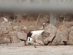 -石家庄市动物园