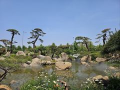 -罗红摄影艺术馆