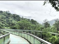 -四会奇石河风景区